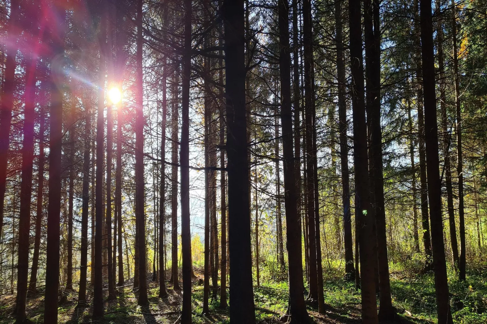 CityApartment Schwaz-Gebieden zomer 5km