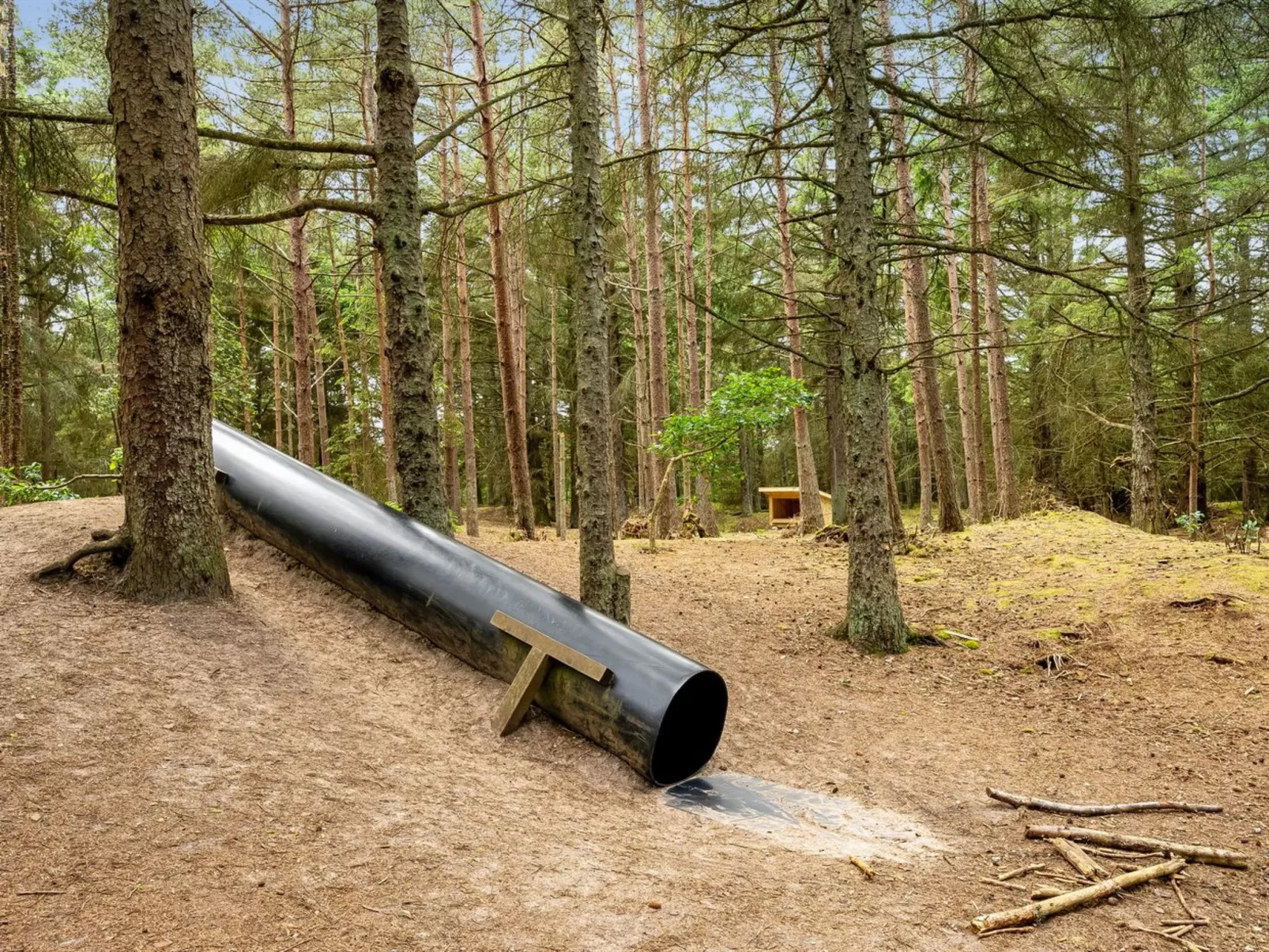 "Ernesta" -  from the sea-Buiten