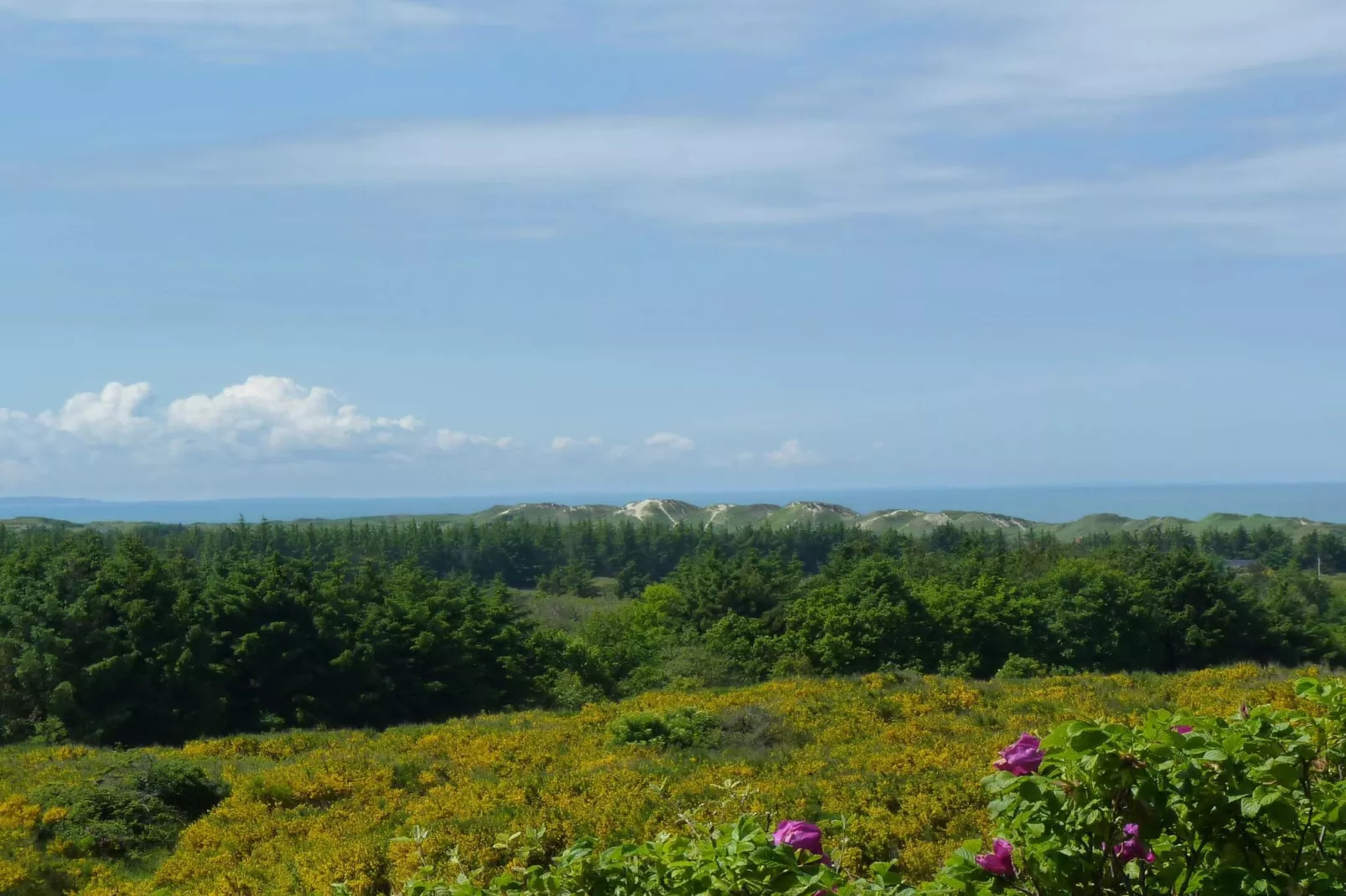 4 sterren vakantie huis in Brønderslev-Niet-getagd