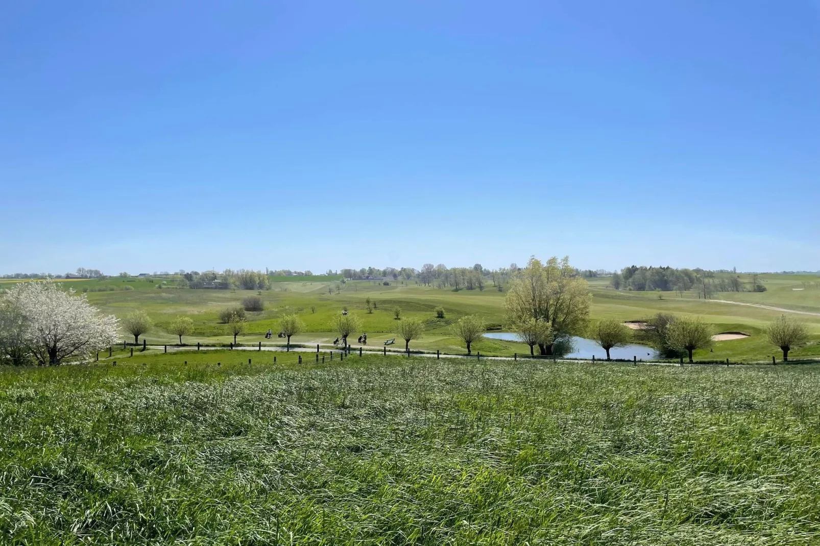 4 sterren vakantie huis in oxie-Niet-getagd