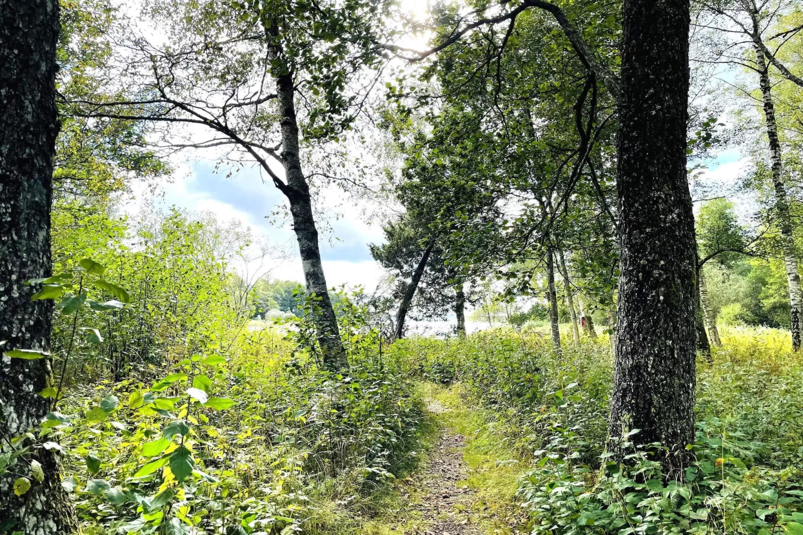 4 sterren vakantie huis in TVÄRRED-Niet-getagd