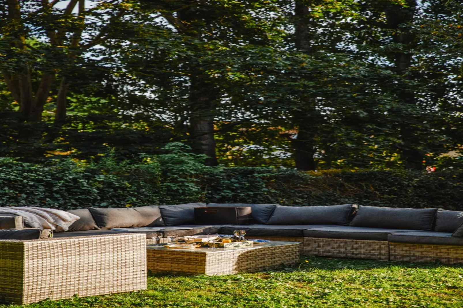 DEAUVILLE RAINGOLD-Niet-getagd