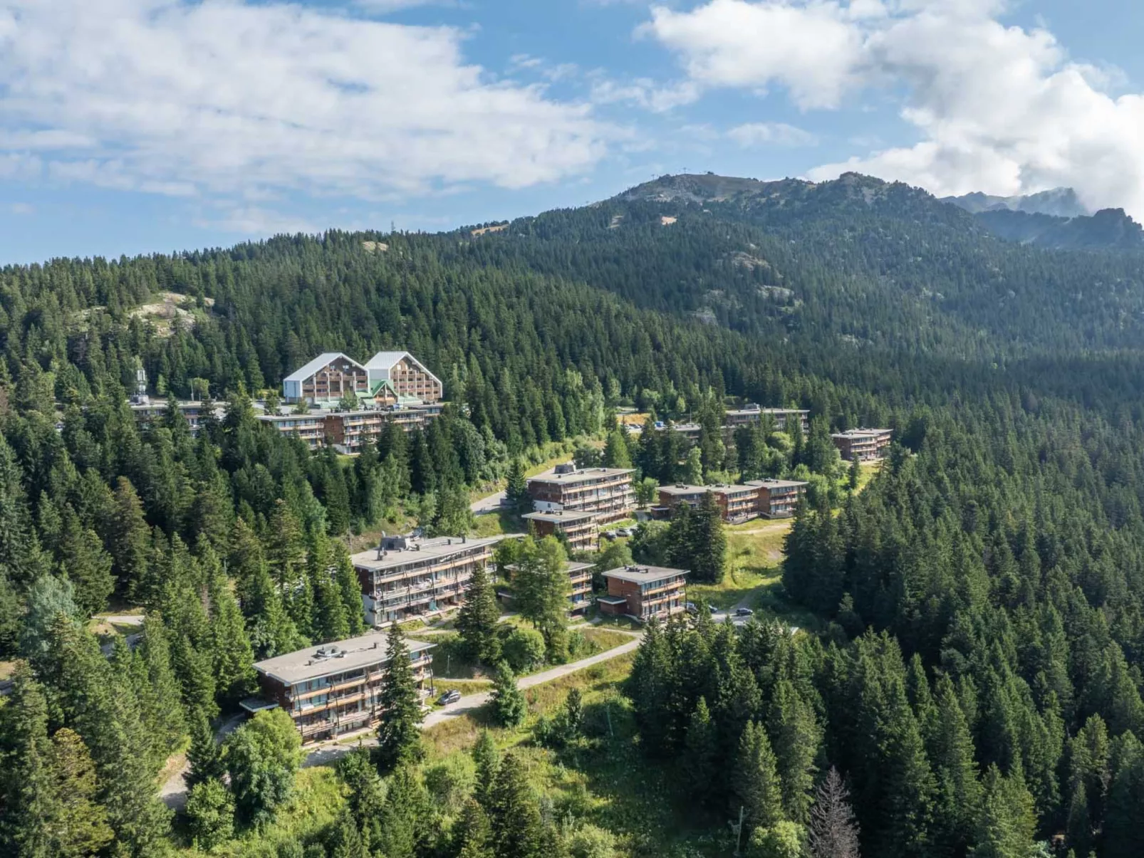 V du Bachat Joubarbes E-Binnen