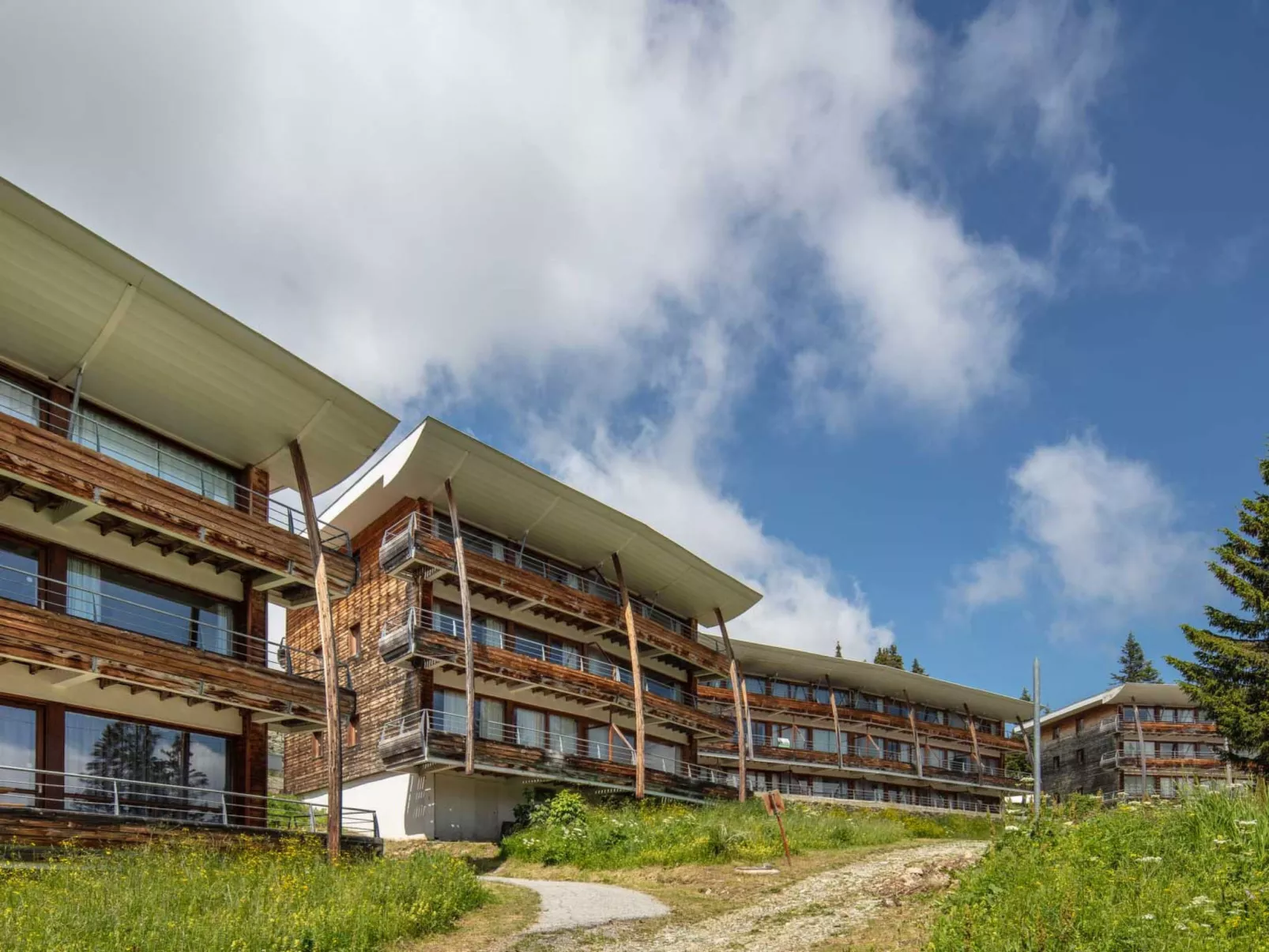 V du Bachat Asters E-Buiten