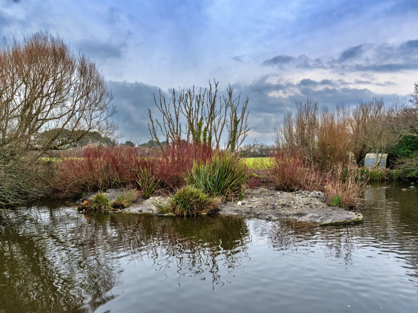 No.1 Gladys' Orchard-Buiten