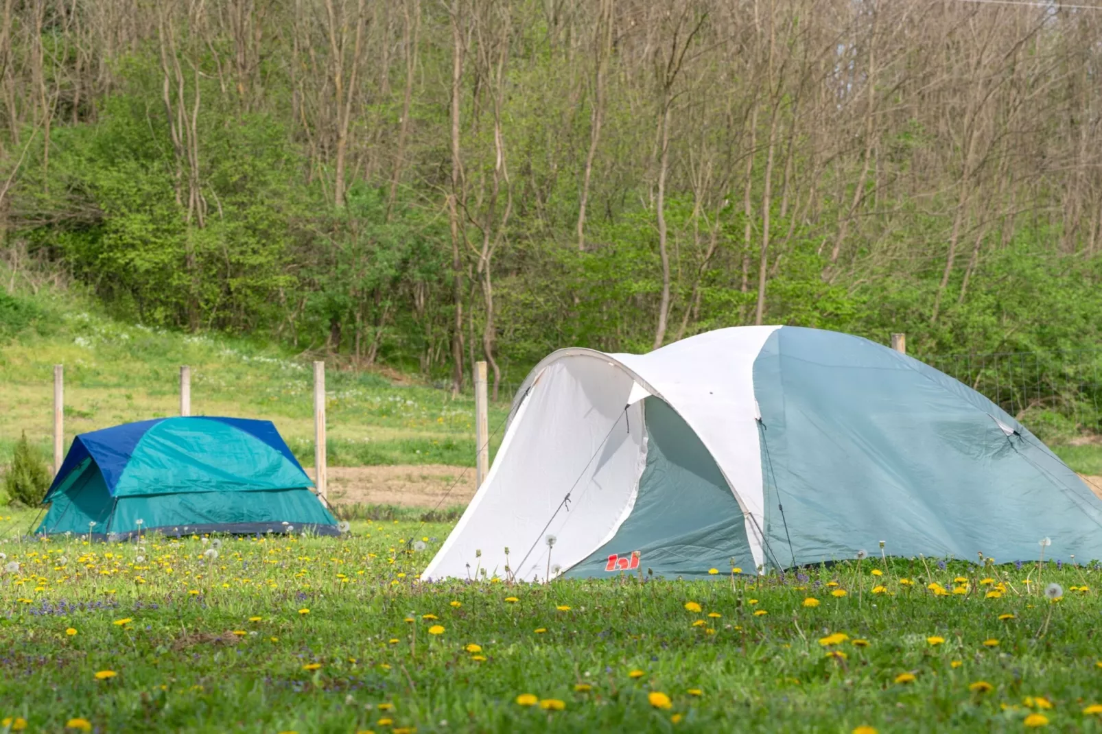 Robinzonski Kamp Hofman - Tent-Buitenlucht