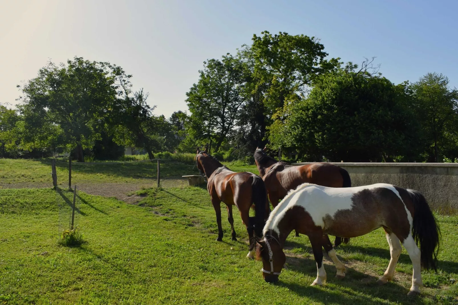 Zevnik Quiet Retreat with Stunning Views and Equestrian Activities  - Double Room with Private Bathroom-Buitenlucht