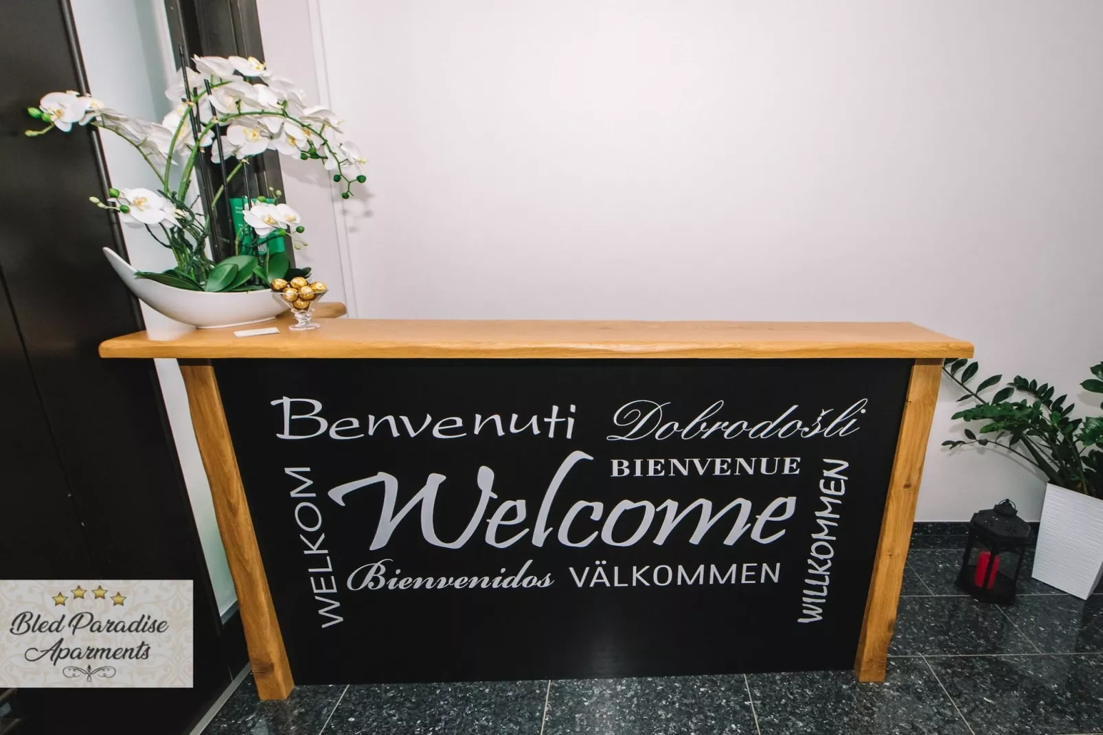 Bled Prestigious and Stylish Apartments - Standard One Bedroom Apartment with Balcony (owner 3)-Faciliteiten