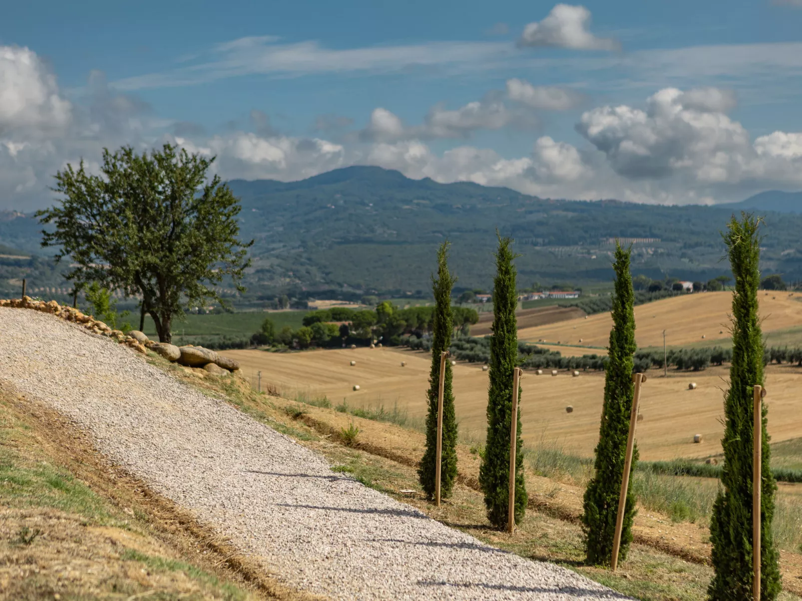 Poggio Piero 3-Buiten