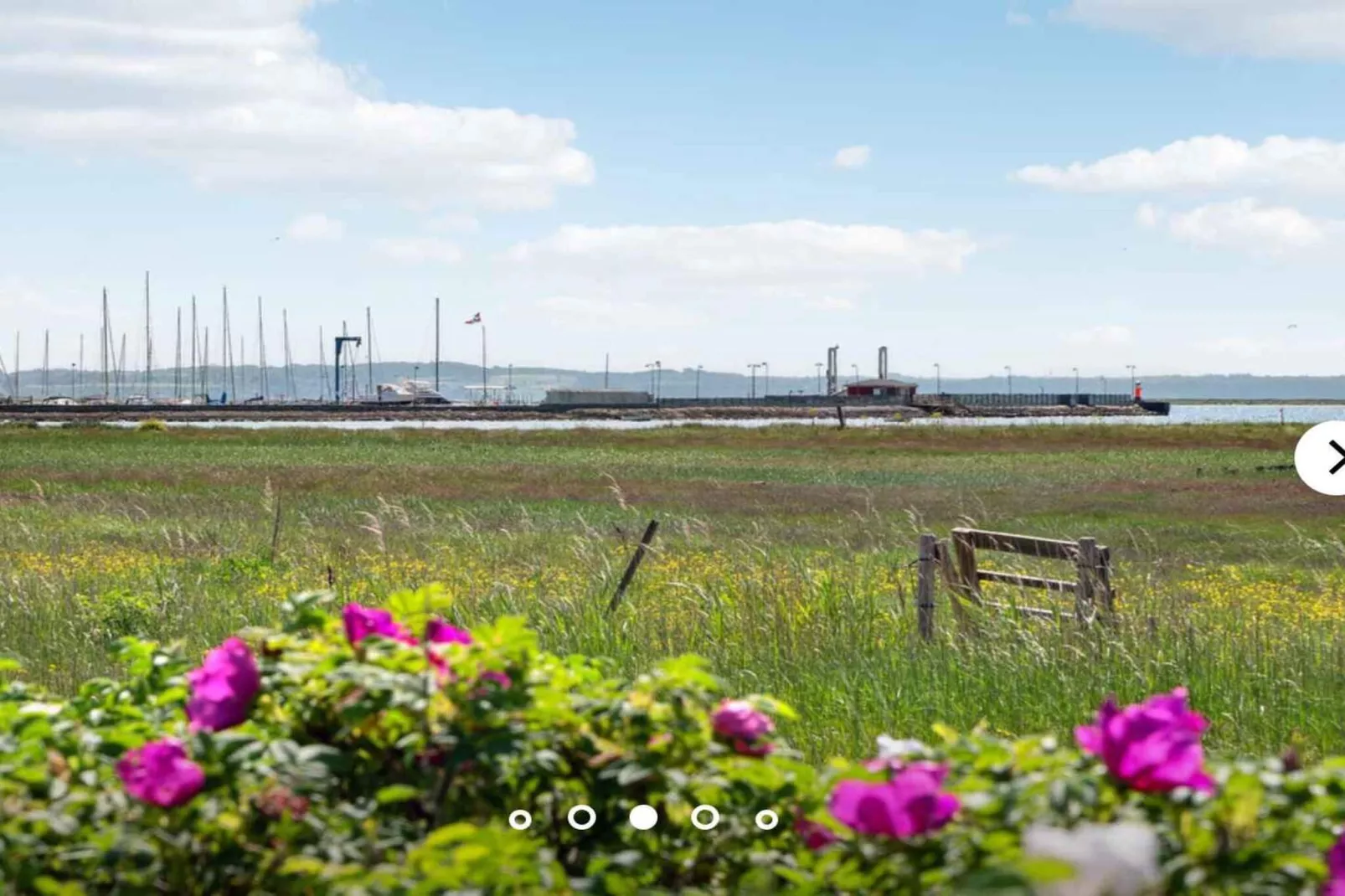 5 sterren vakantie huis in Orø-Niet-getagd