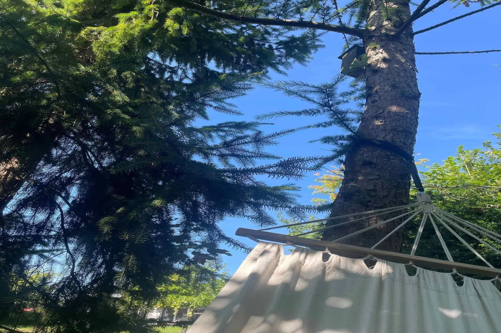 5 sterren vakantie huis in Vordingborg-Niet-getagd