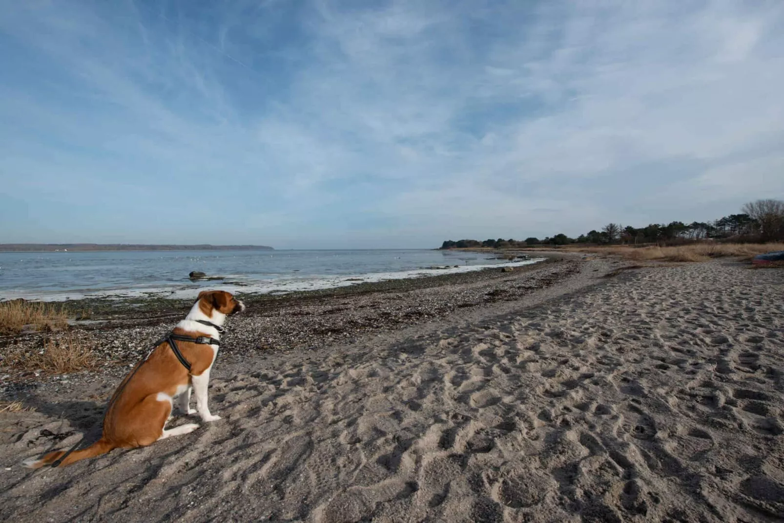 5 sterren vakantie huis in Holbæk-Waterzicht