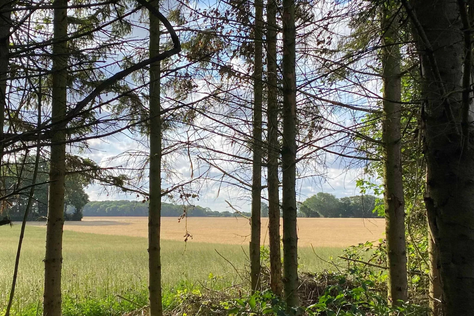 5 sterren vakantie huis in Nakskov-Buitenlucht