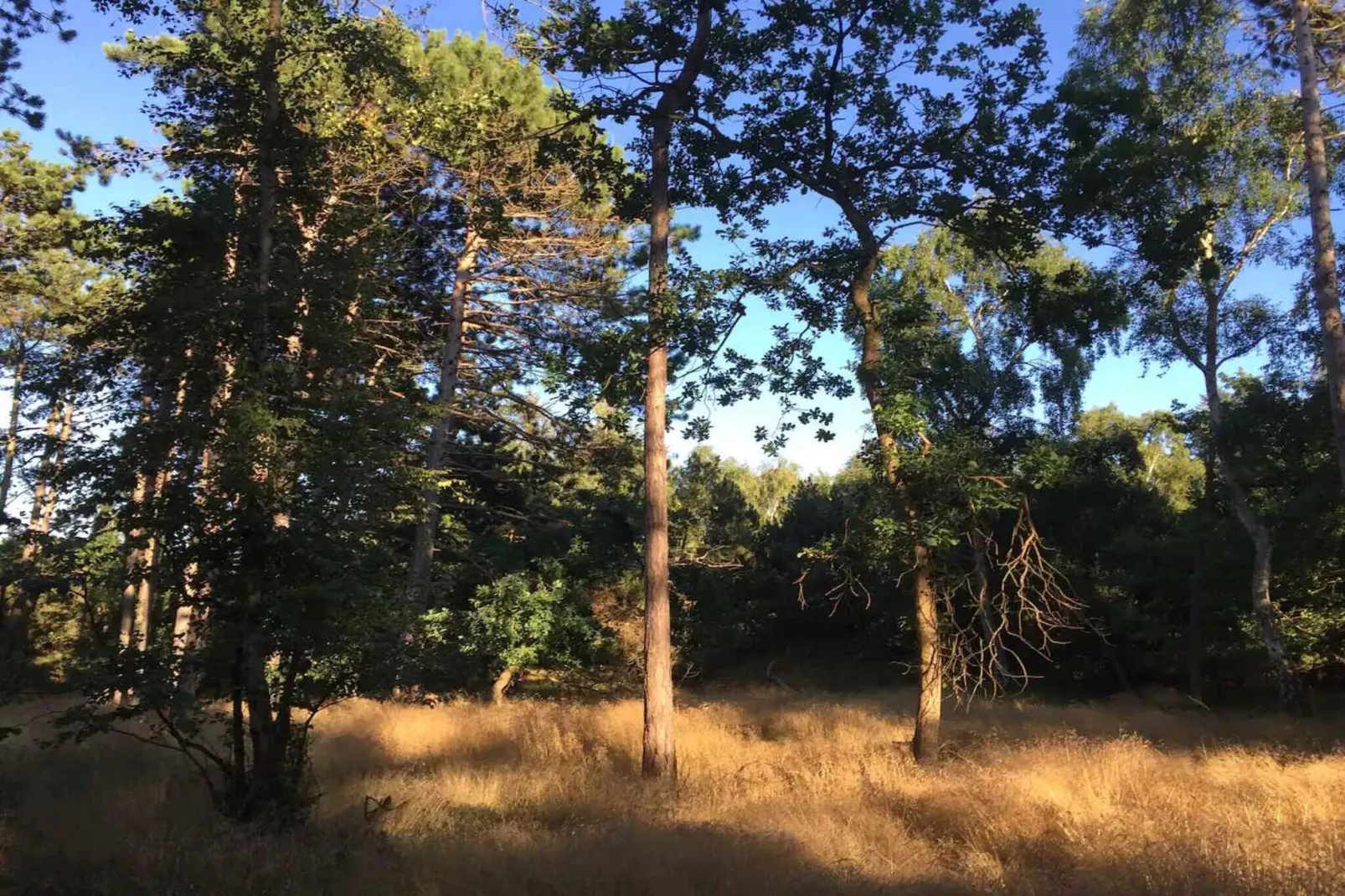 5 sterren vakantie huis in Nykøbing Sj-Buitenlucht