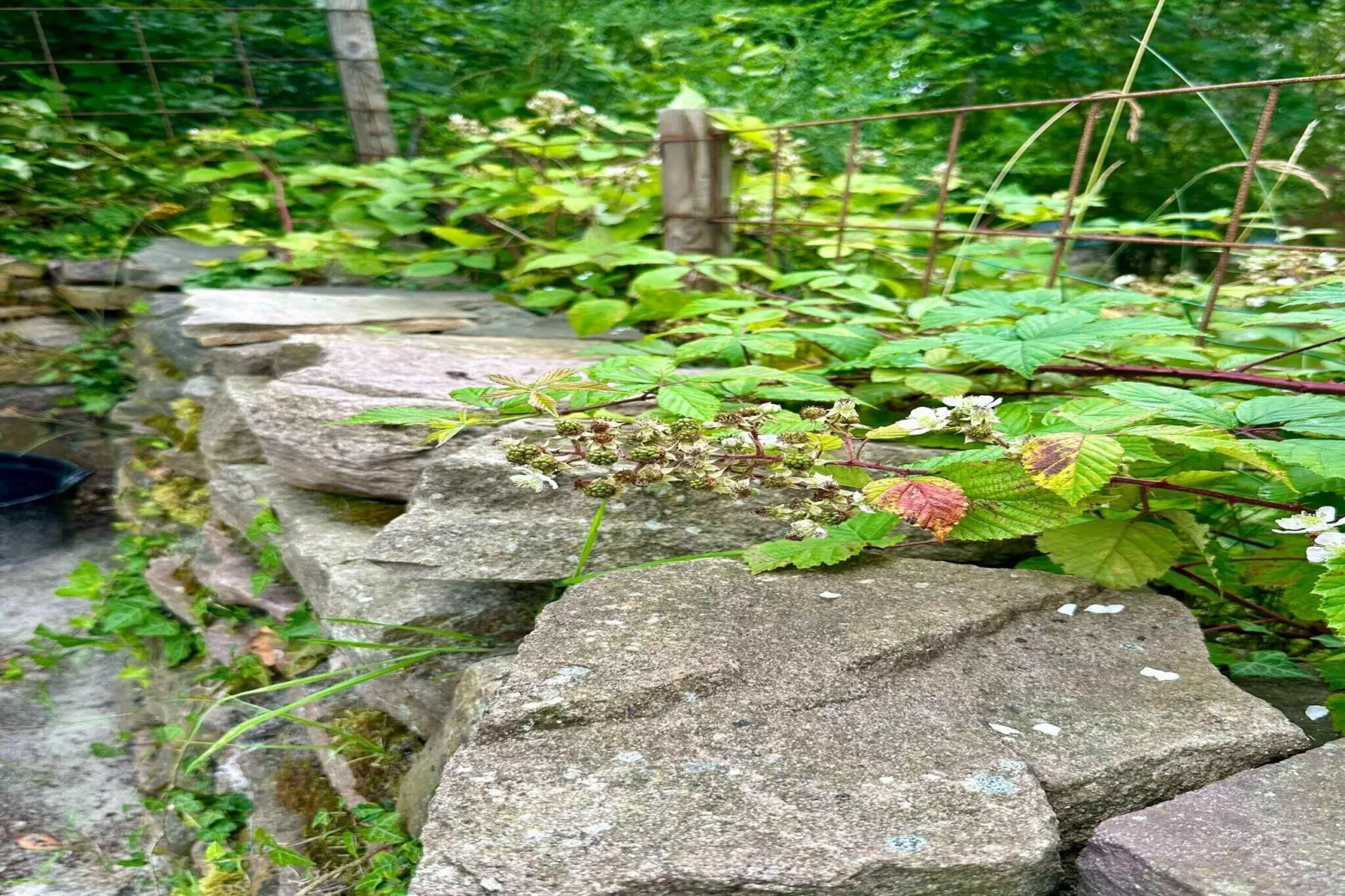 5 sterren vakantie huis in Nexø-Buitenlucht