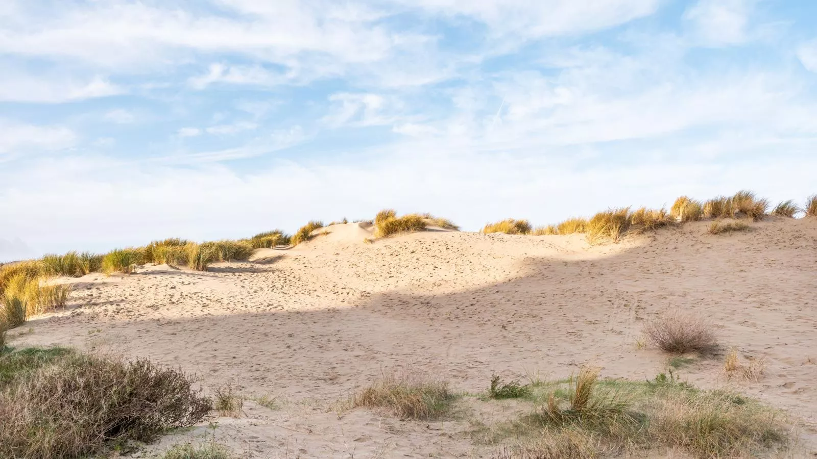 Manderley tweede-Uitzicht zomer