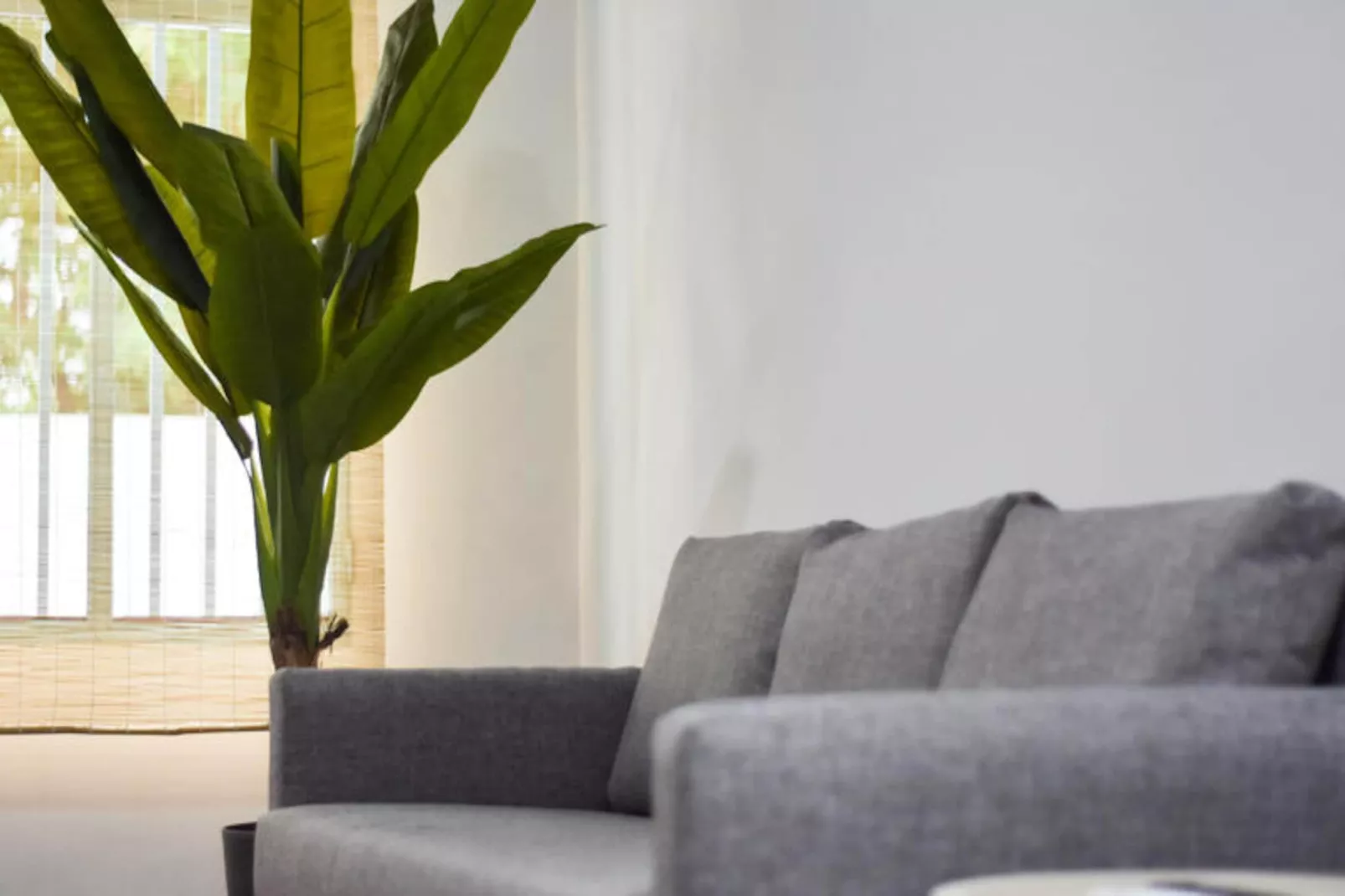 Maison à Moncofar-Niet-getagd