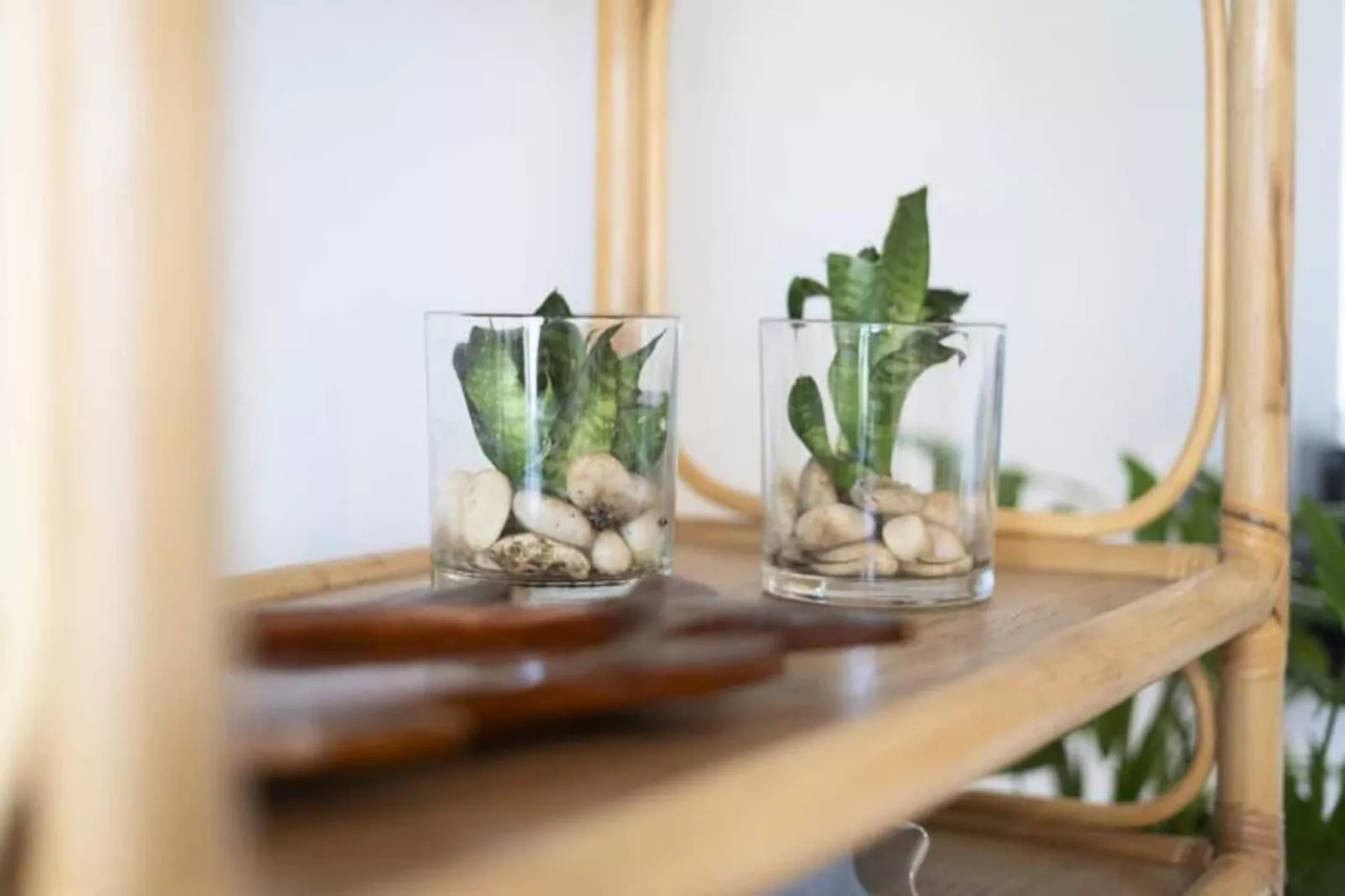 Résidence Casa Da Maresia &ndash; Le Refuge C&ocirc;tier-Niet-getagd