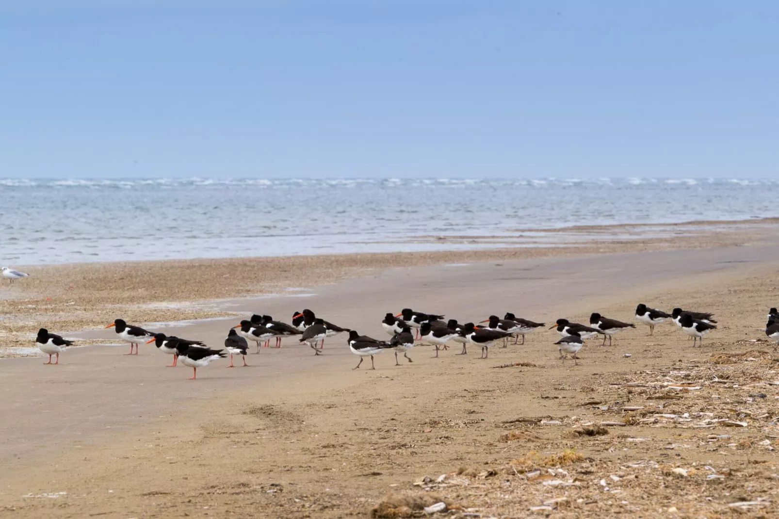 4 persoons vakantie huis in Fanø-Waterzicht