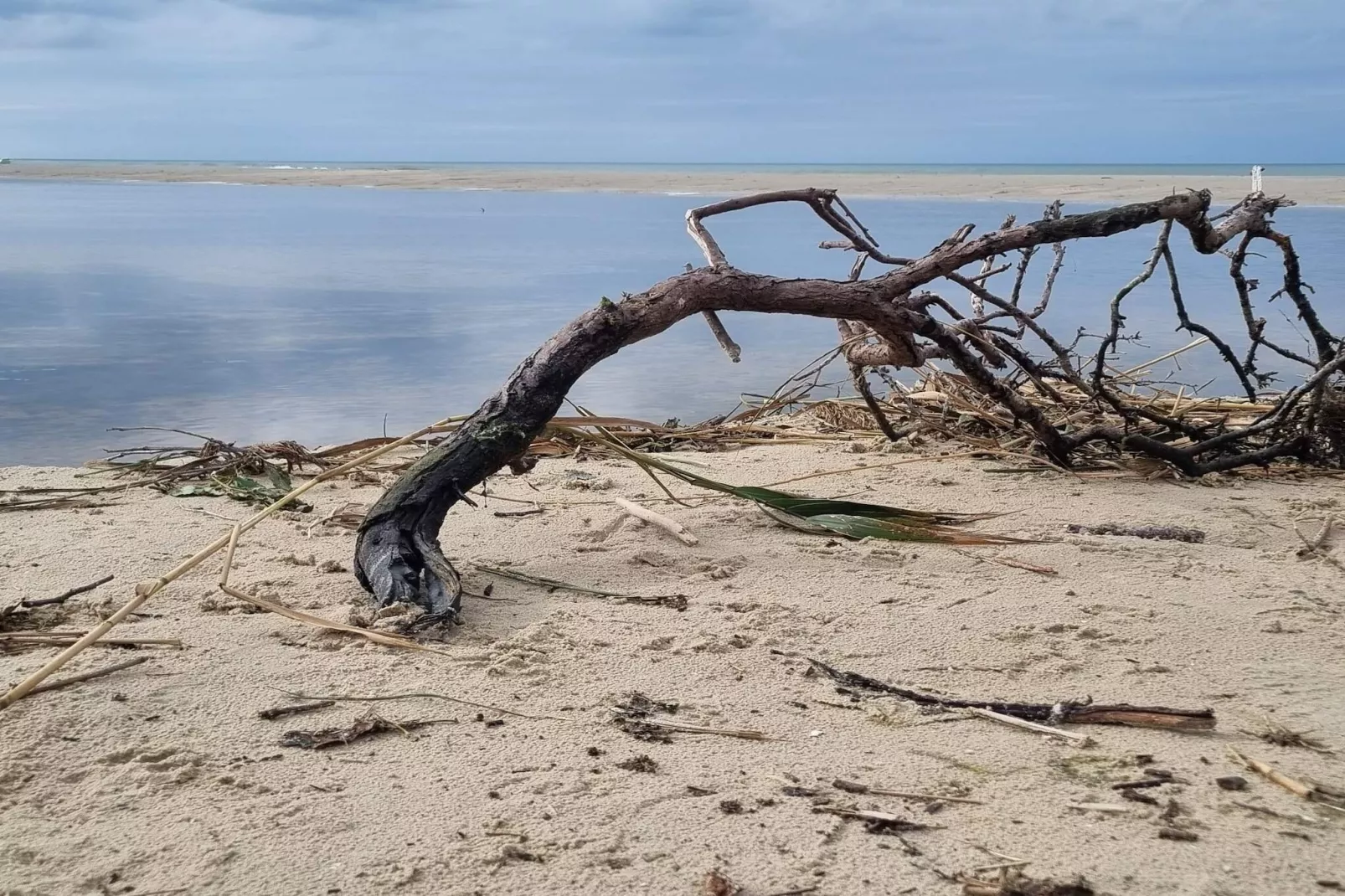 6 persoons vakantie huis in Bindslev-Waterzicht