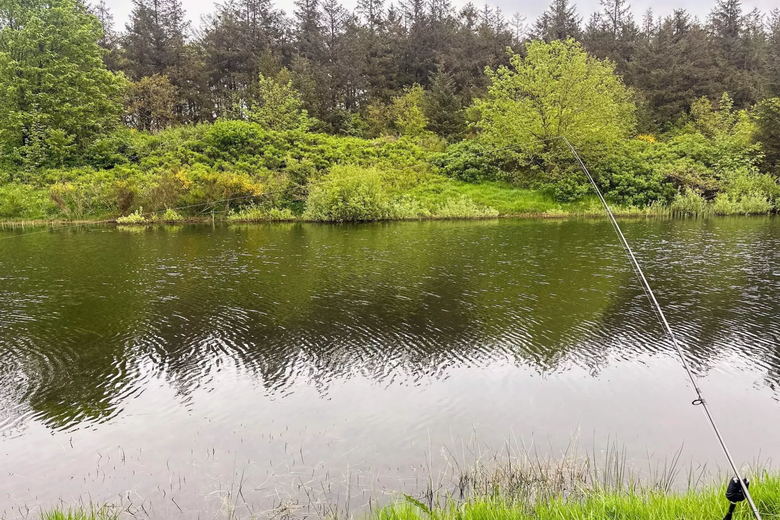 Moderne Cottage-oase in Arrild-Waterzicht