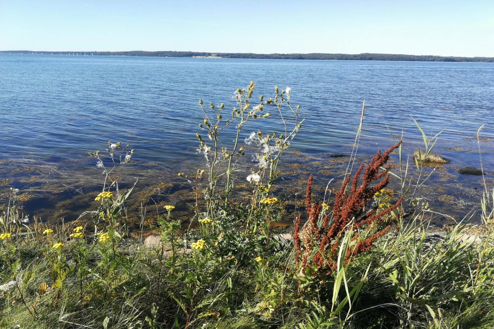5 persoons vakantie huis in Bogø By-Waterzicht