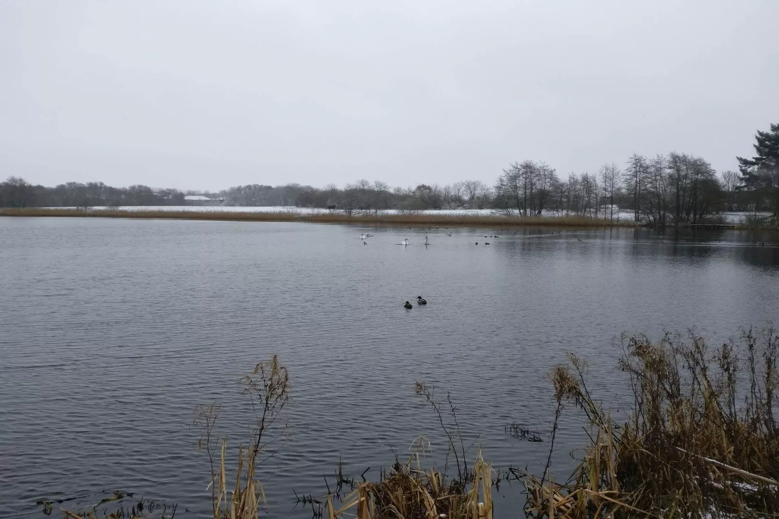 Luxe retraite bij Ho Baai -- By Traum Ferienwohnungen-Waterzicht