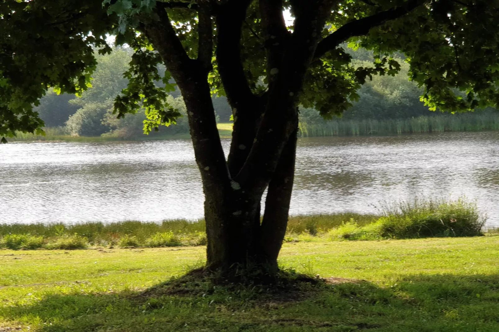 6 persoons vakantie huis in Silkeborg-By Traum-Waterzicht