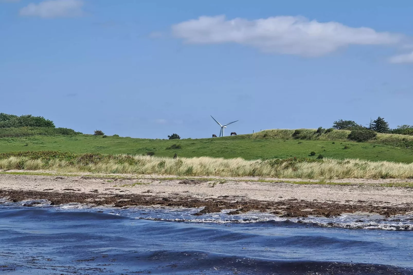Luxe zwembadvilla in Bagenkop -- By Traum Ferienwohnungen-Waterzicht