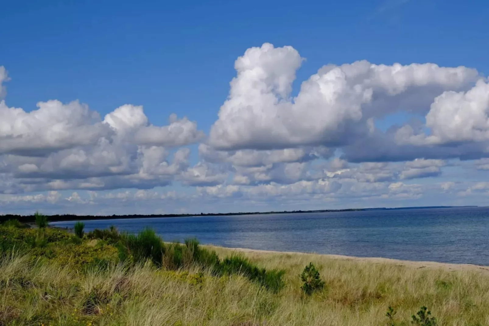 3 room, close to the sea/dike-Waterzicht