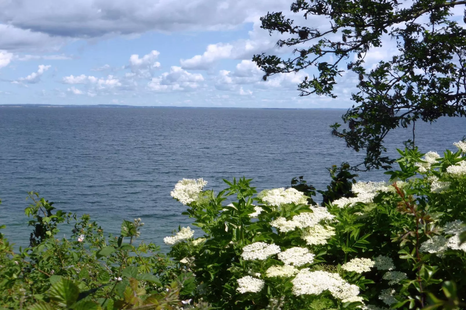 Rustig toevluchtsoord in Mommark -- By Traum Ferienwohnungen-Waterzicht