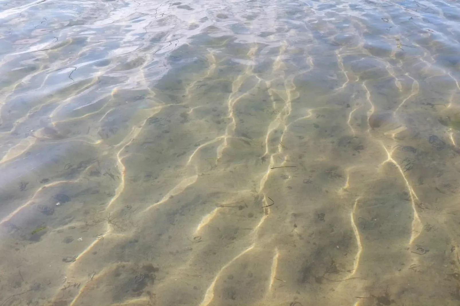 8 persoons vakantie huis in Væggerløse-By Traum-Waterzicht