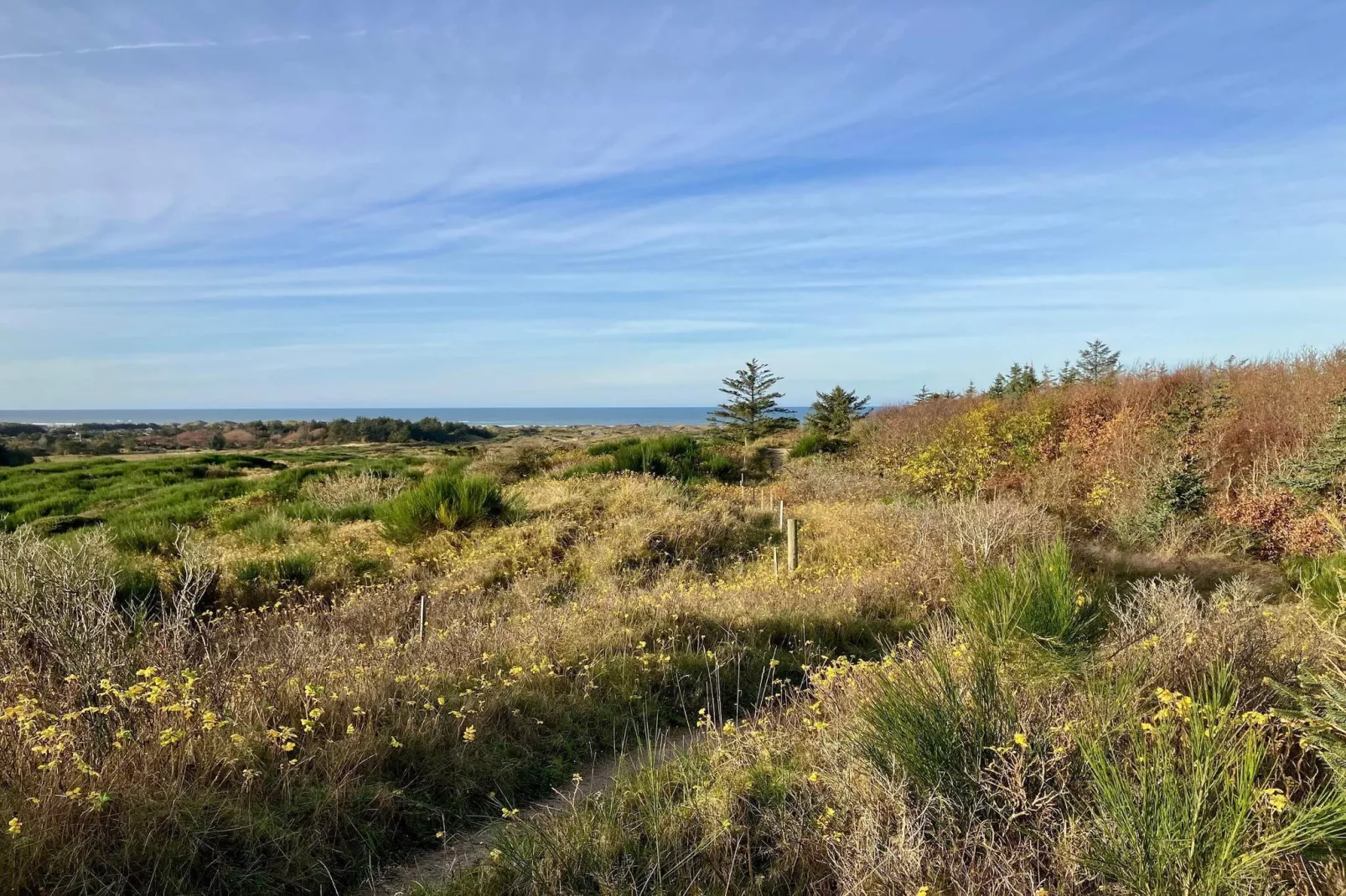 6 persoons vakantie huis in Løkken-By Traum-Niet-getagd