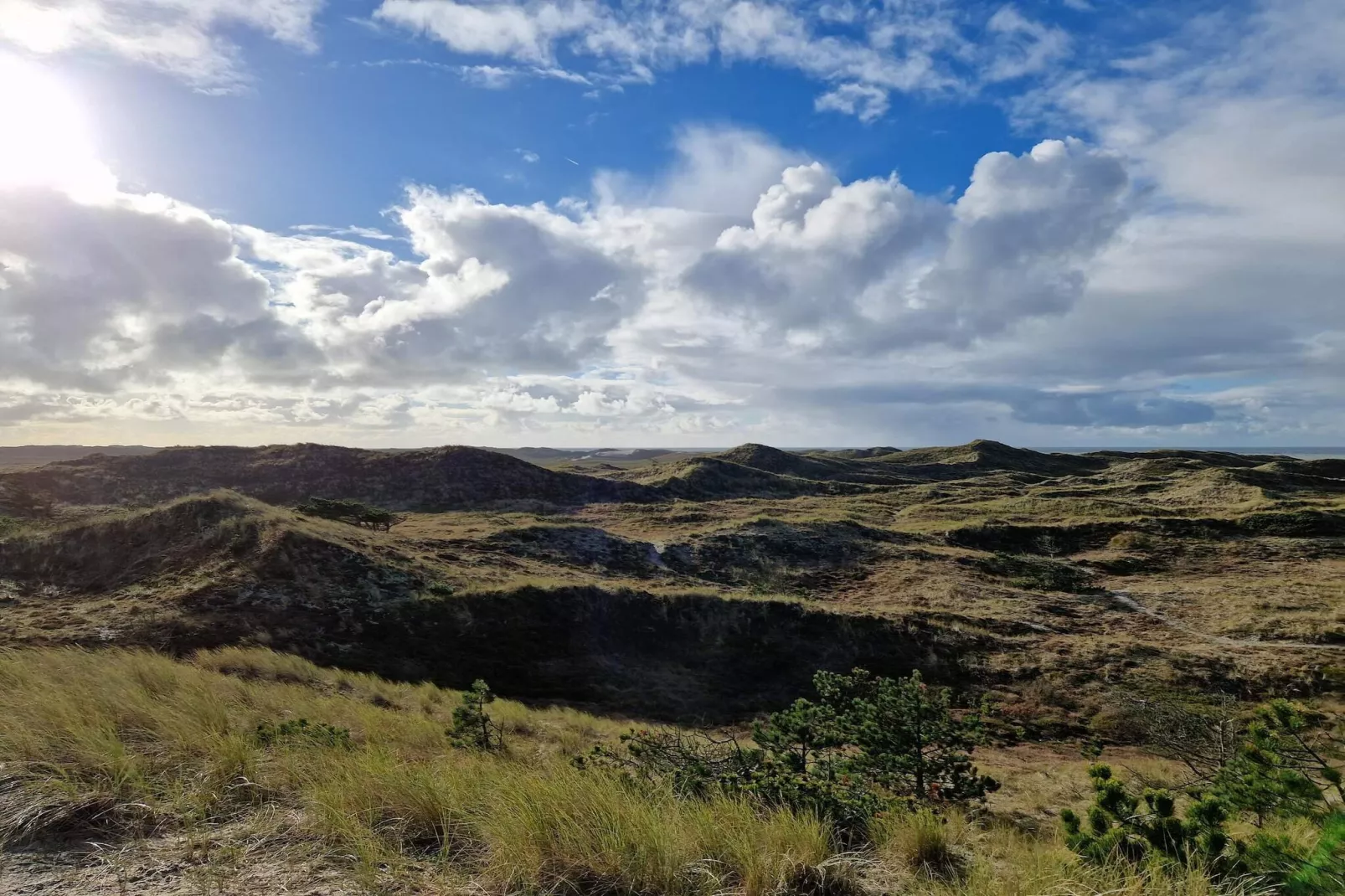 6 persoons vakantie huis in Ulfborg-By Traum-Niet-getagd