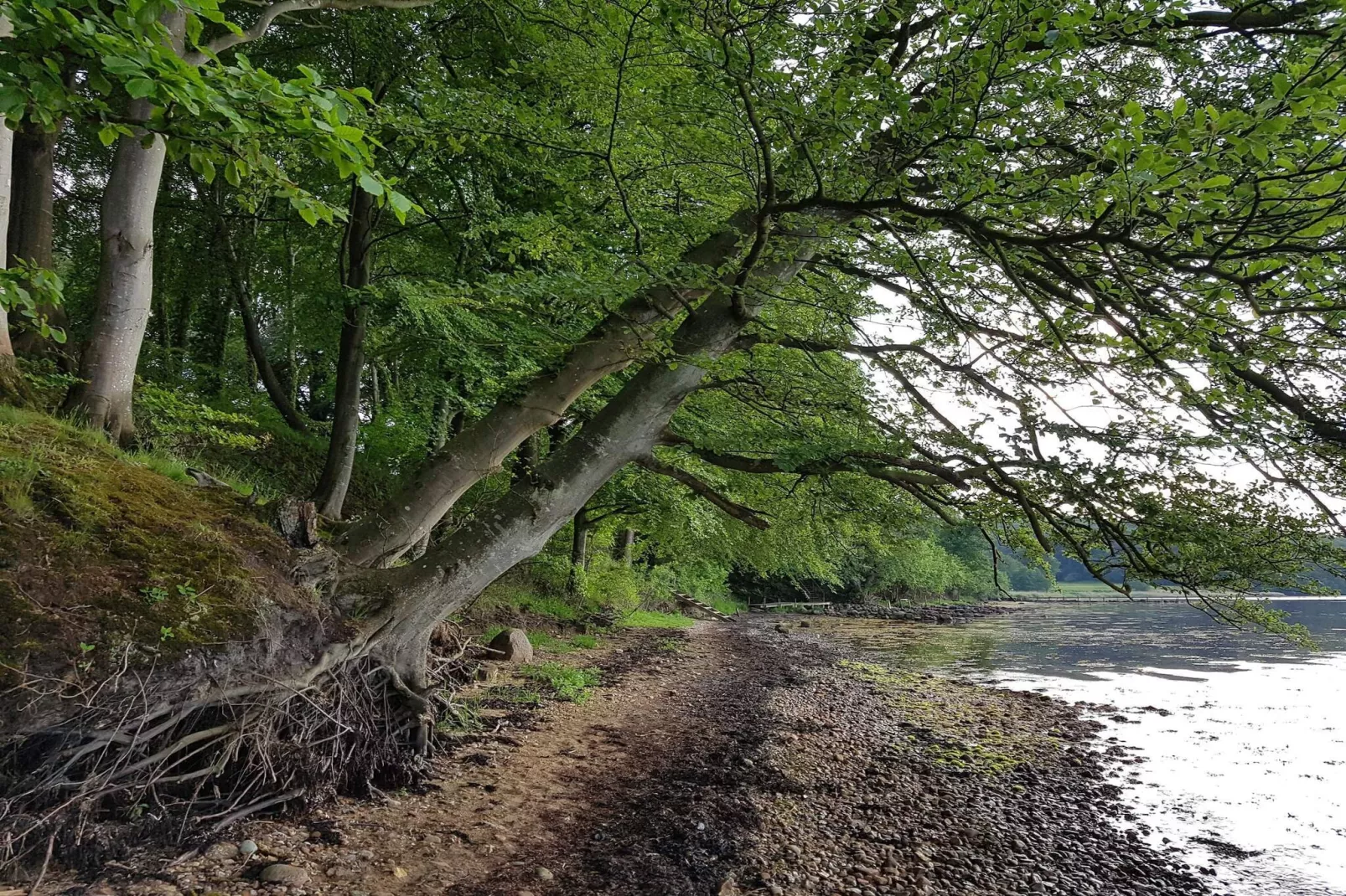 5 persoons vakantie huis in Børkop-By Traum-Waterzicht