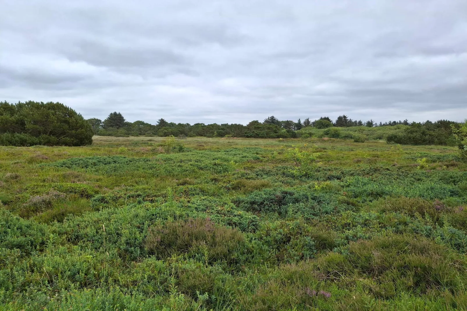 Modern huis met spa -- By Traum Ferienwohnungen-Waterzicht