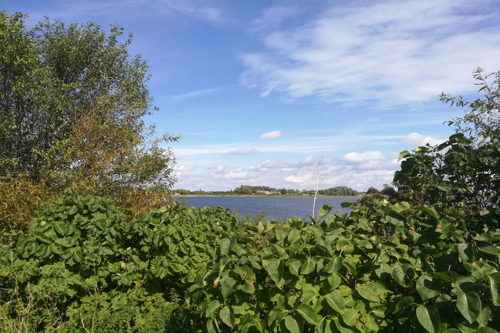 8 persoons vakantie huis in Harpelunde-By Traum-Waterzicht