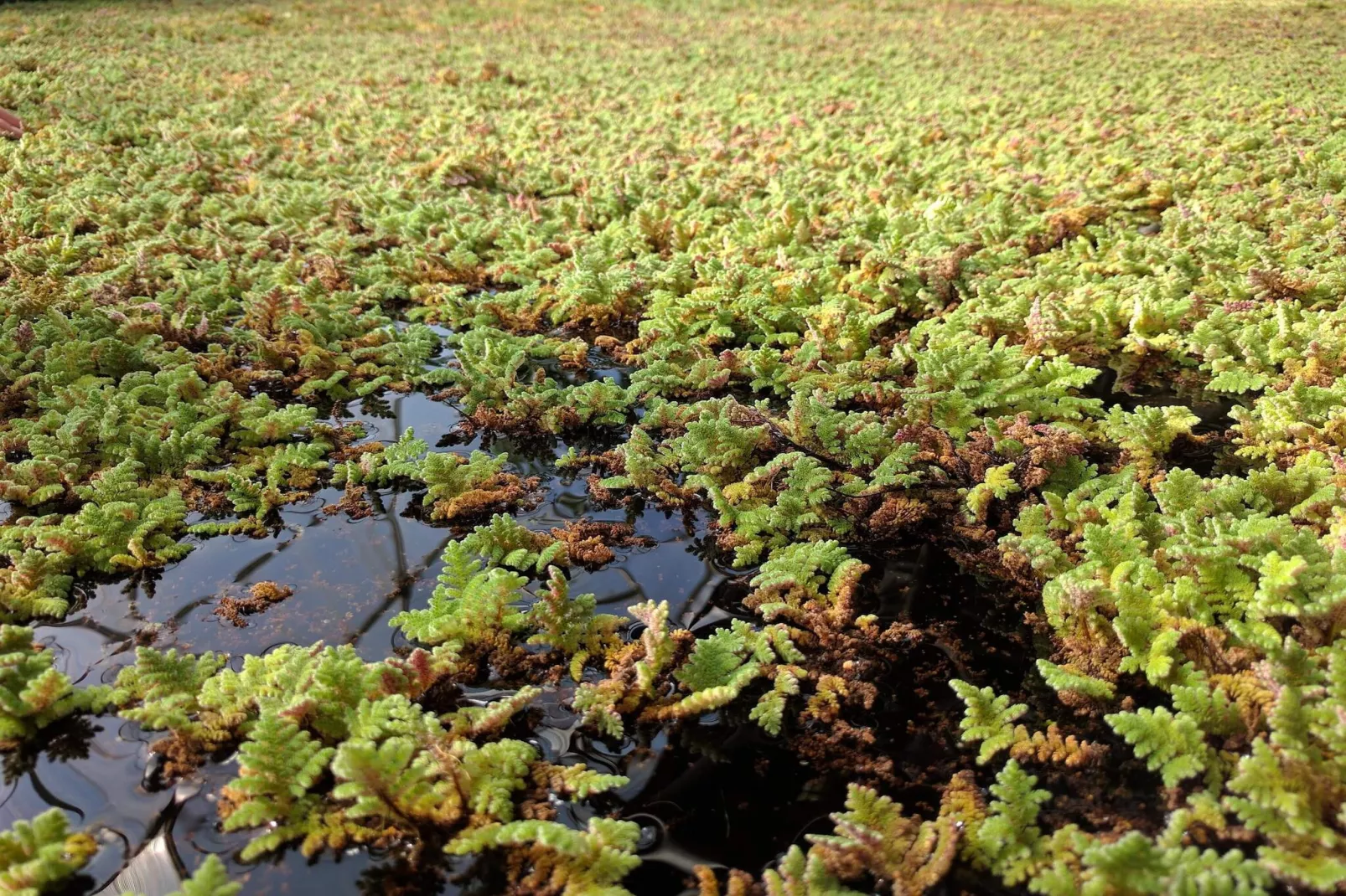 9 persoons vakantie huis in Hurup Thy-By Traum-Waterzicht