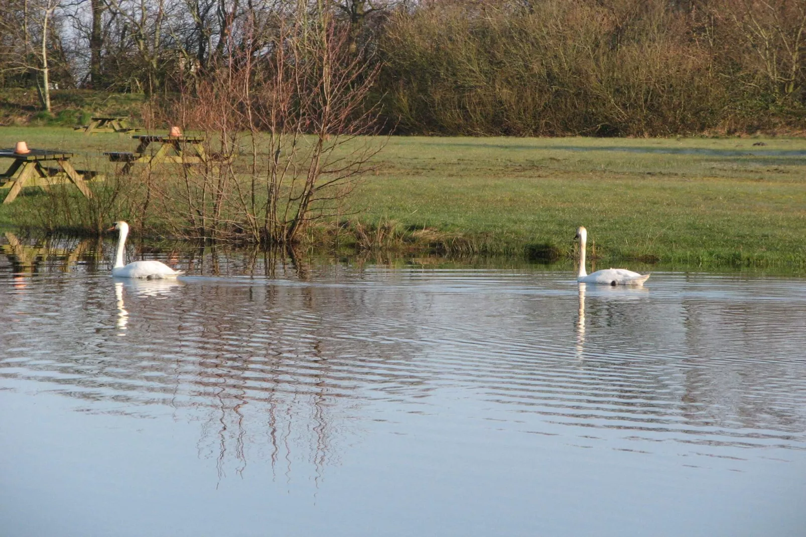 8 persoons vakantie huis in Tarm-By Traum-Waterzicht