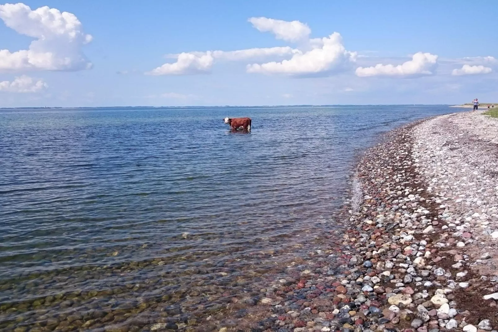 6 persoons vakantie huis in Nakskov-By Traum-Waterzicht