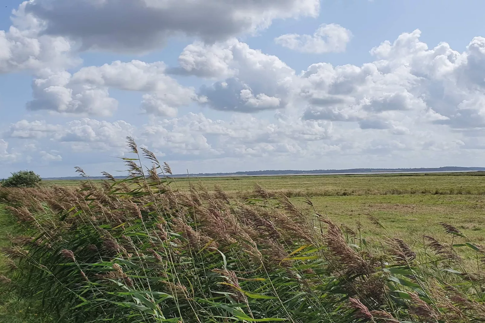 6 persoons vakantie huis in Oksbøl-Niet-getagd