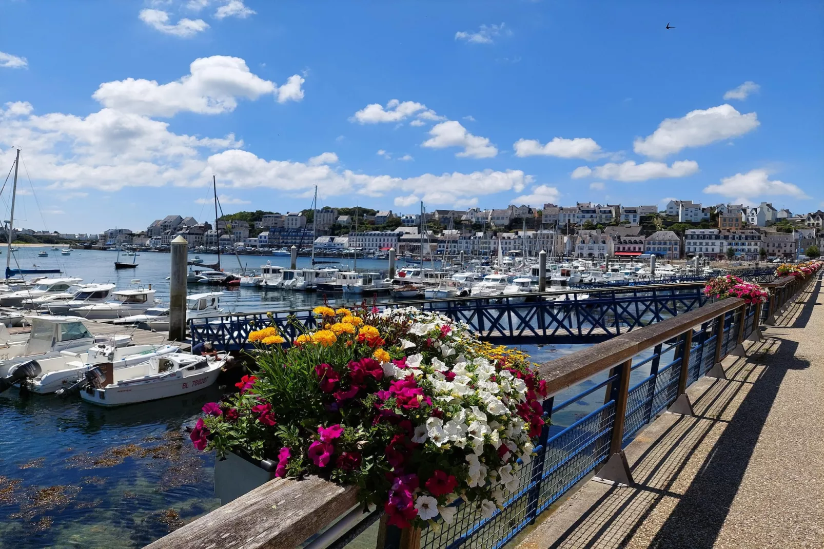 Holiday home Plozévet-Gebieden zomer 20km