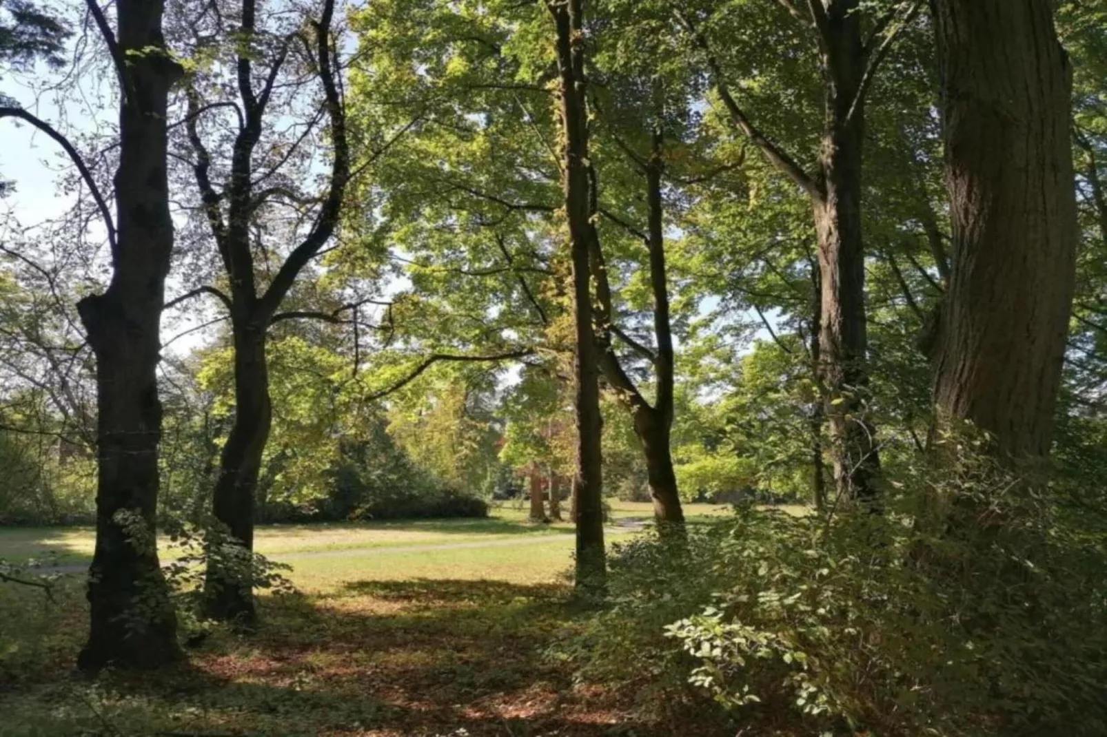 Weserbergland - Bad Pyrmont-Gebieden zomer 20km
