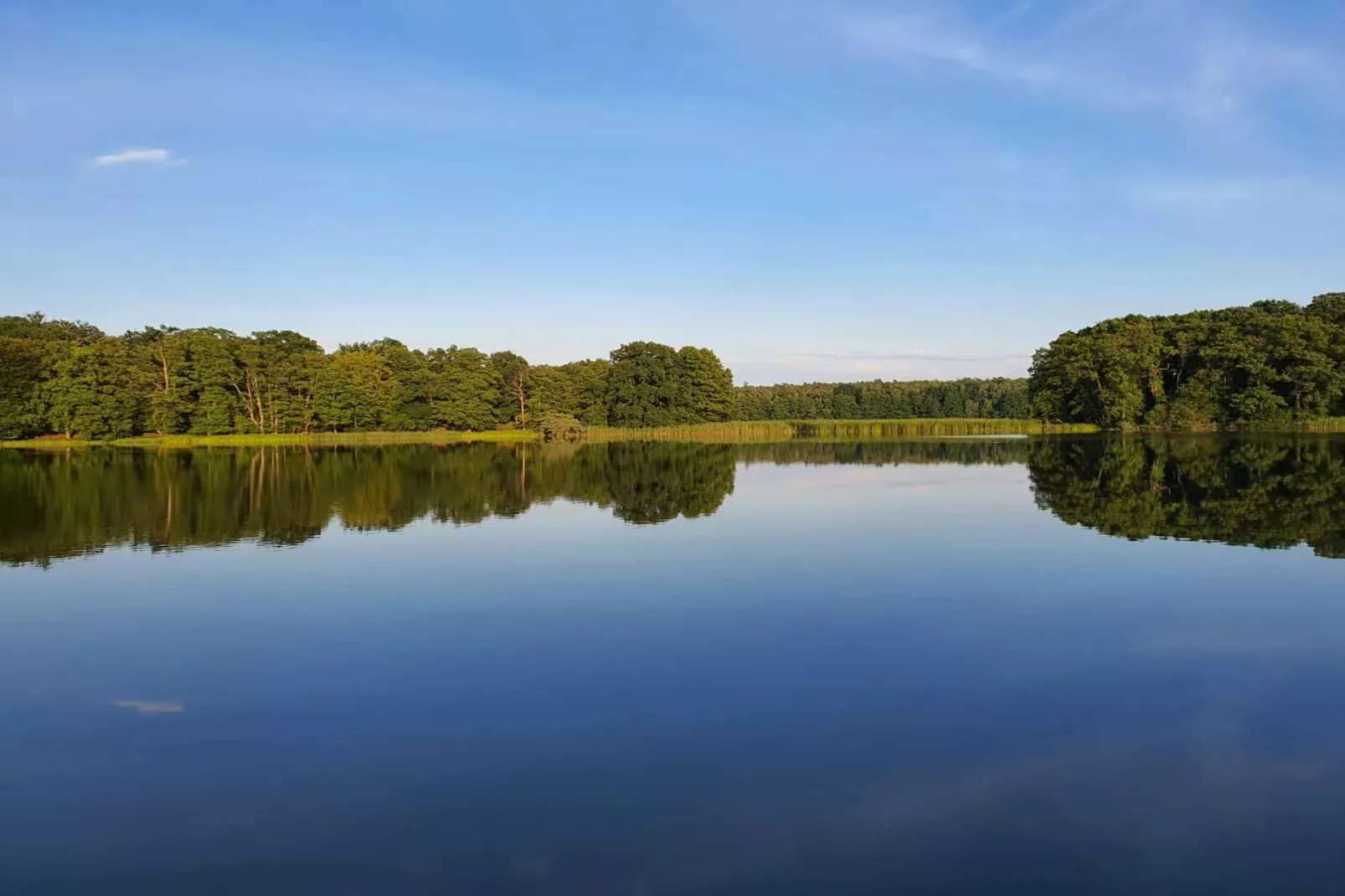 FewoHaus 160 qm-Gebieden zomer 5km
