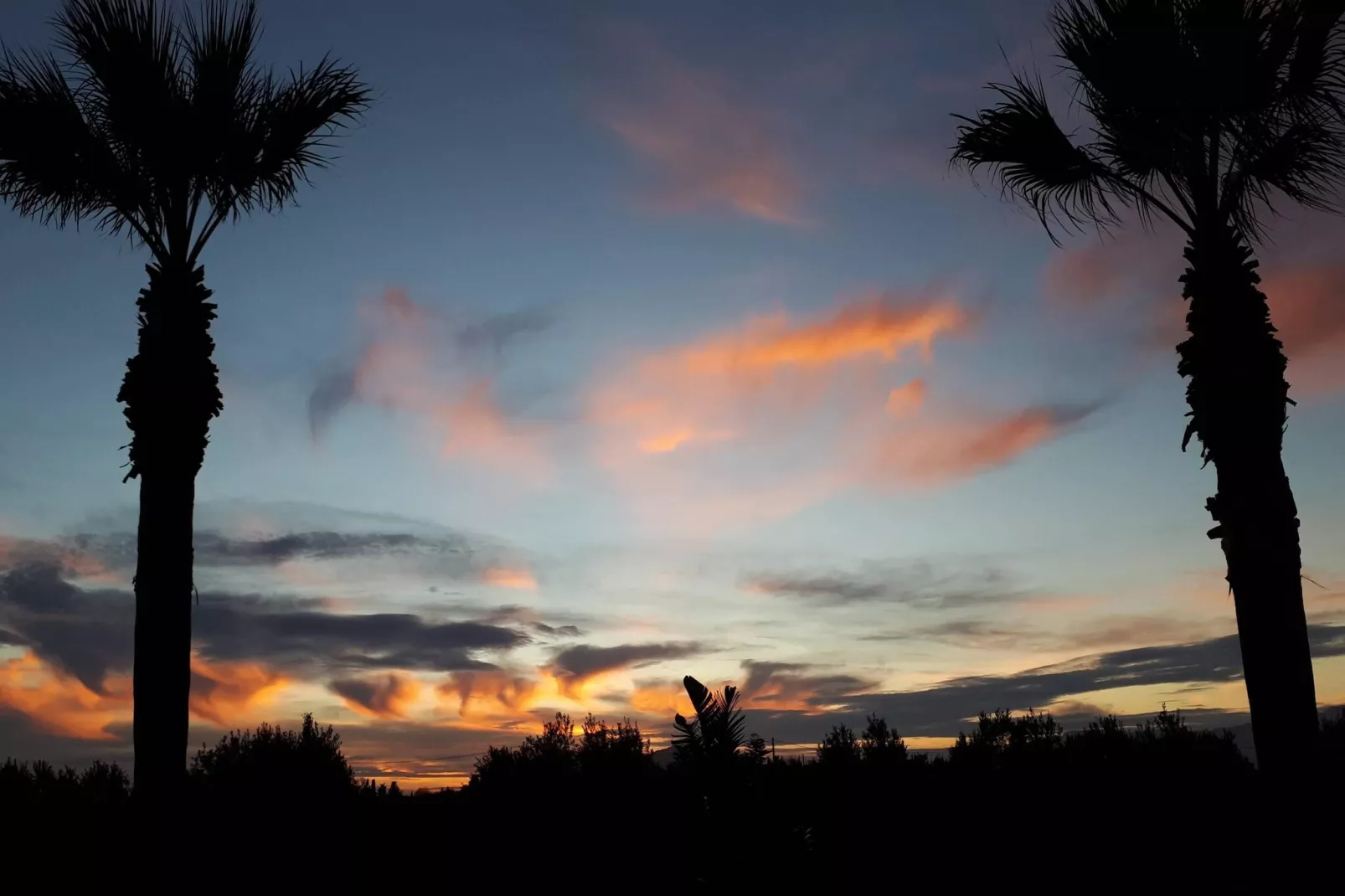 Can Serra-Gebieden zomer 5km