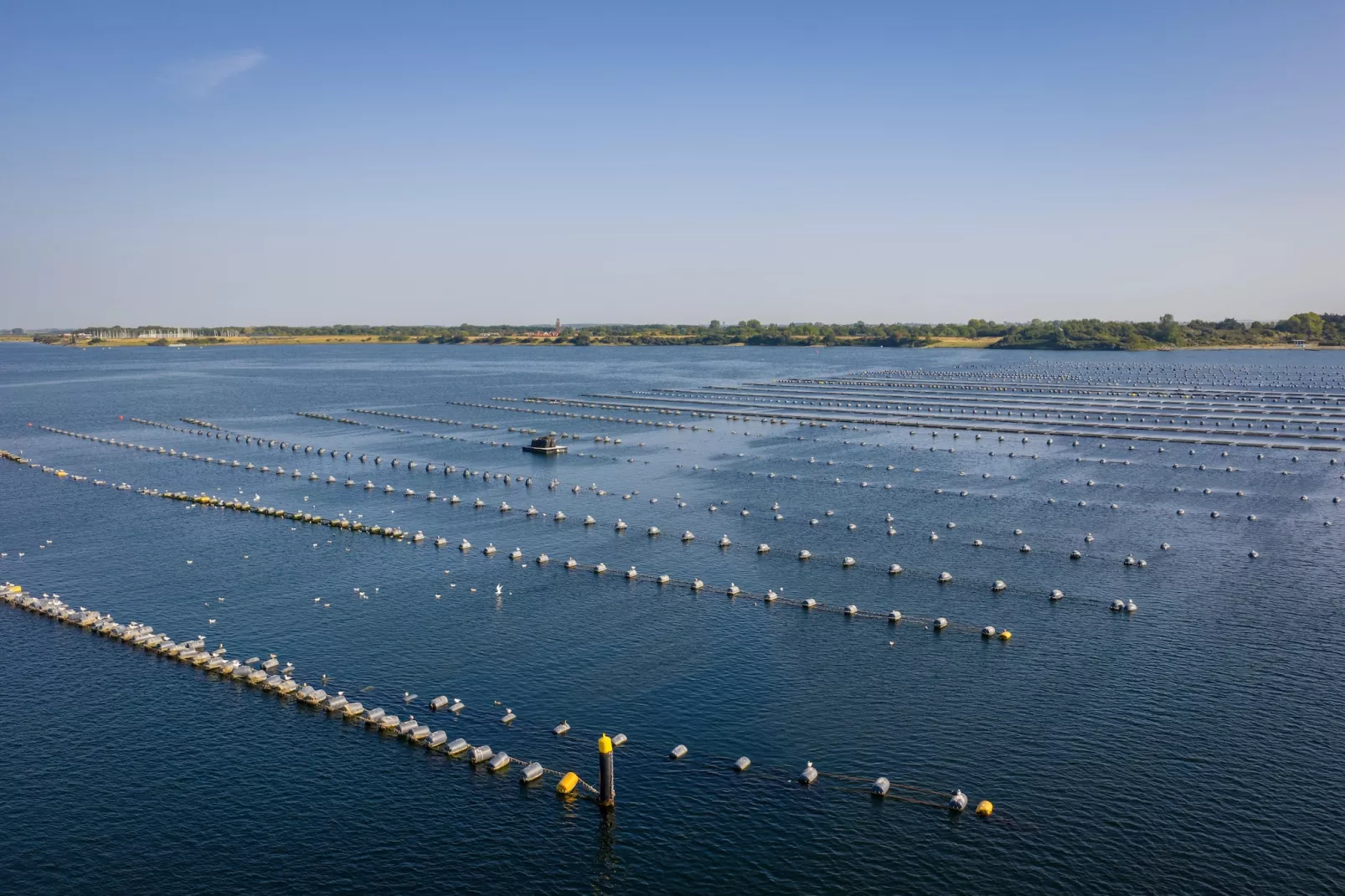 Eco Resort Grevelingenstrand