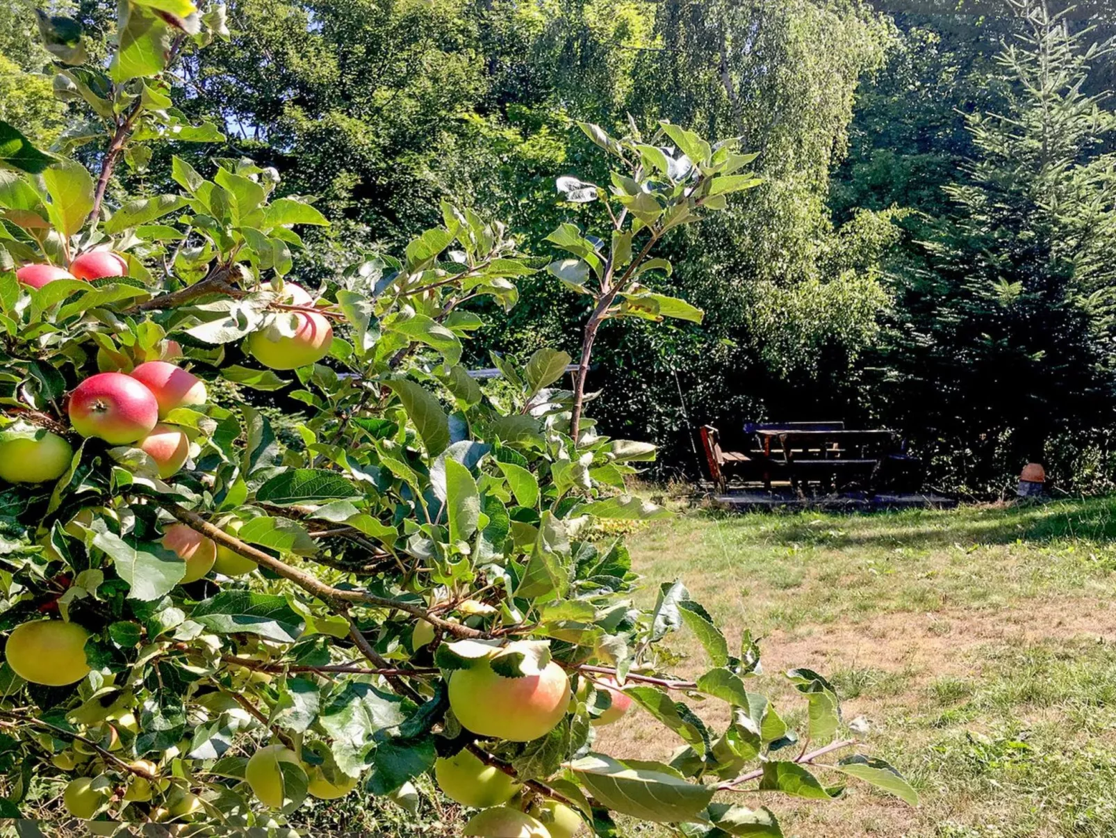 "Hannele" - 200m from the sea-Buiten