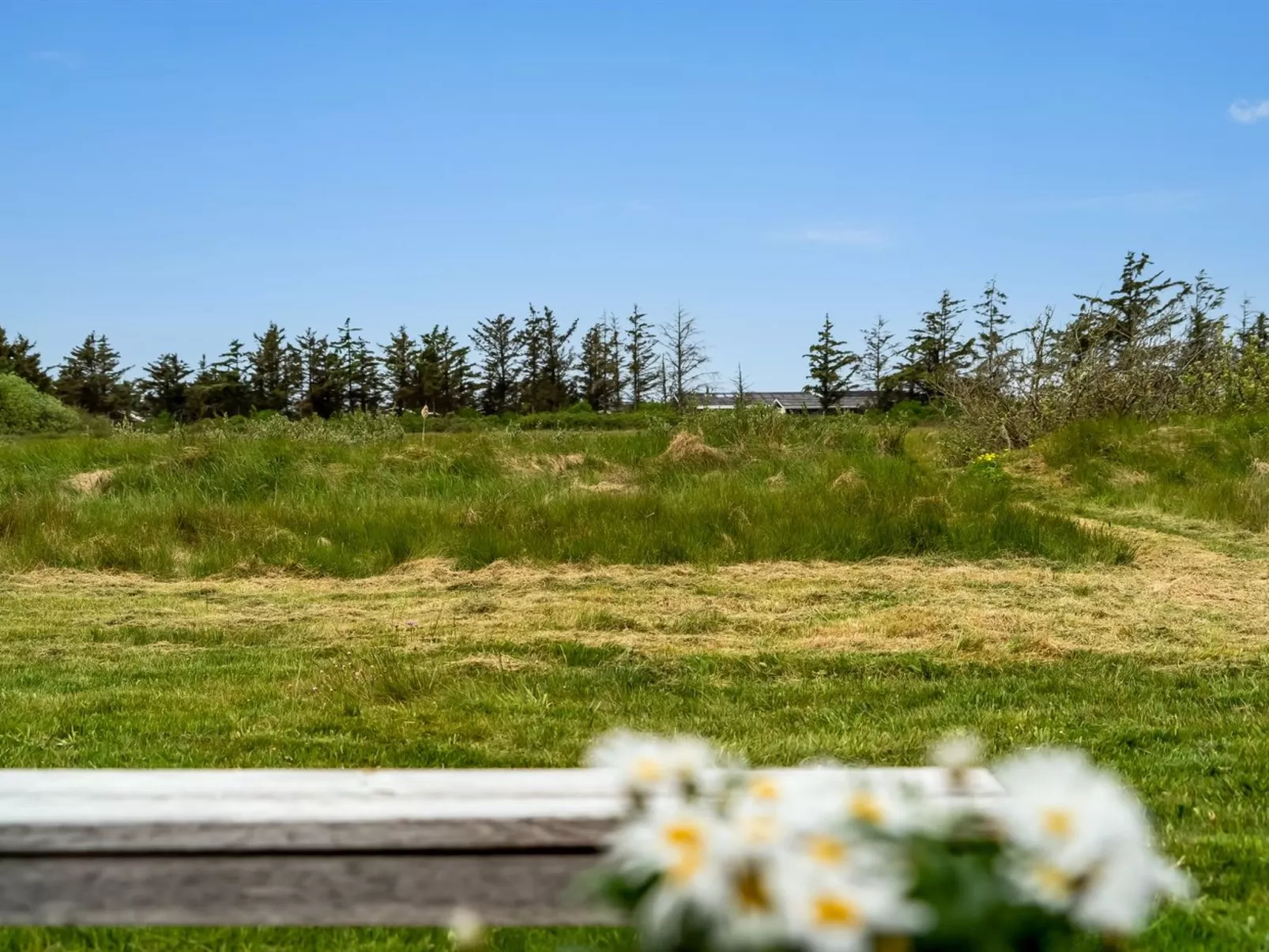 "Tera" - 600m from the sea-Buiten