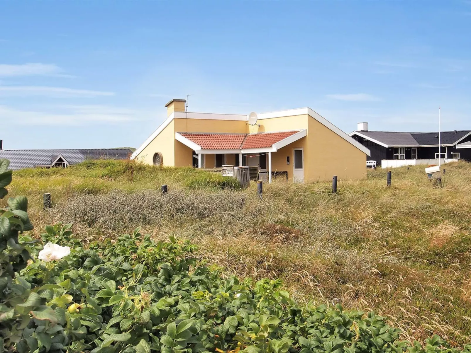 "Jænis" -  from the sea-Buiten