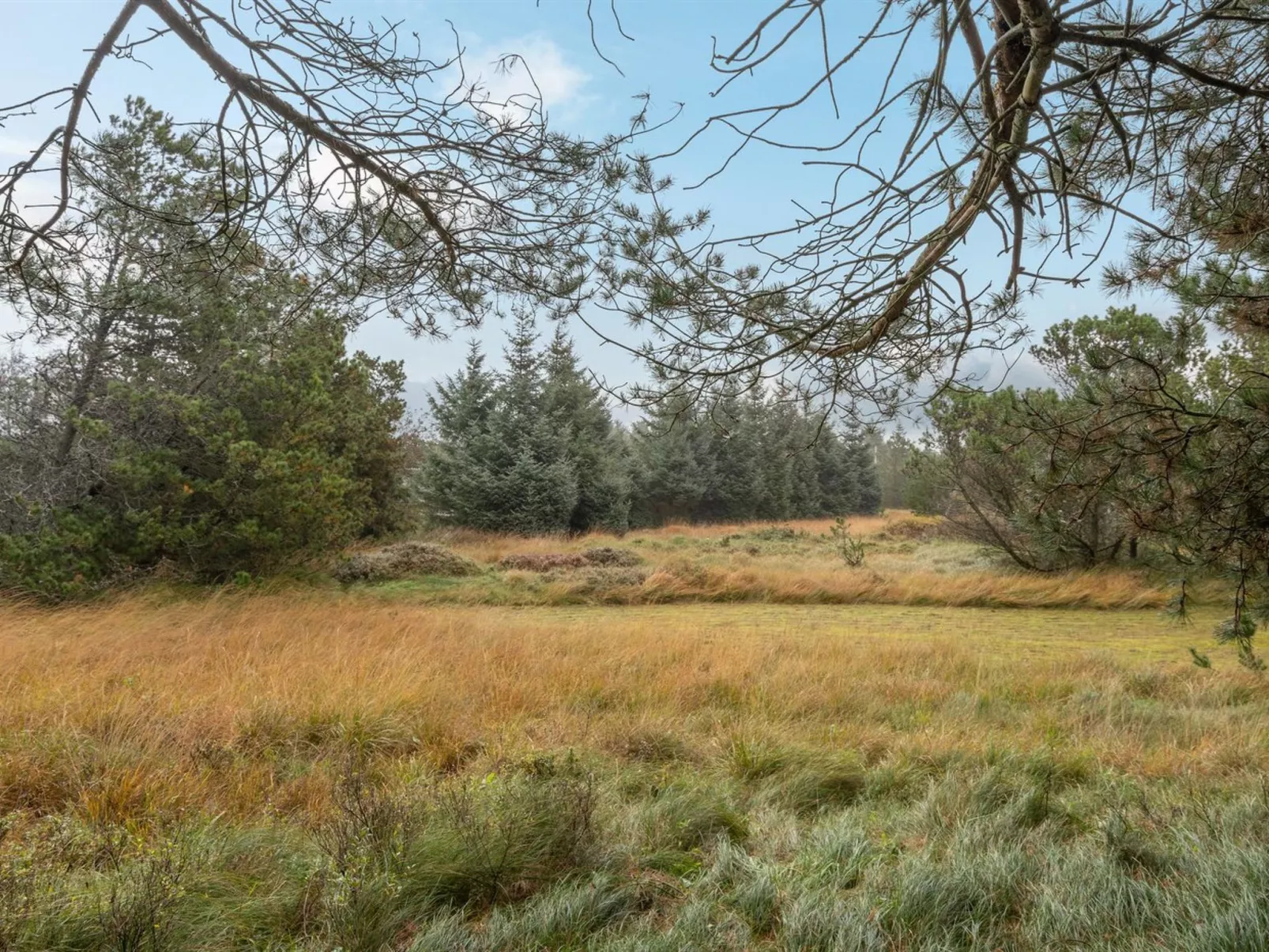 "Aulikki" - 900m from the sea-Buiten